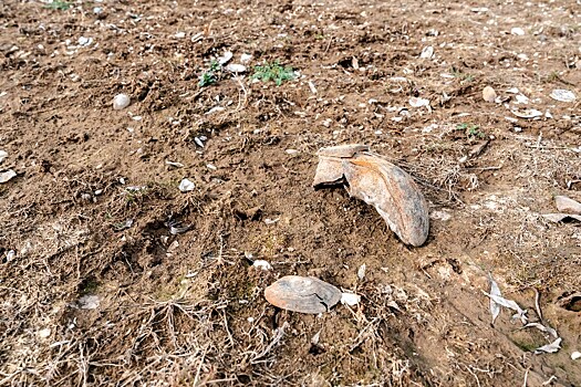 Суд заставил заплатить 9,3 млн рублей арендатора земли в Белореченске