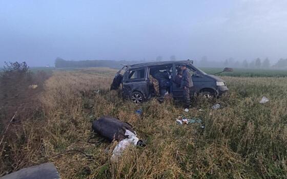 Четыре человека пострадали в ДТП в Скопинском районе