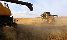 Цены на пшеницу выросли после разрушения Каховской ГЭС