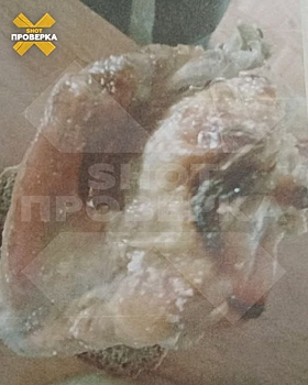 Соцсети: появились кошмарные подробности быта в кузбасском интернате