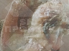 Соцсети: появились кошмарные подробности быта в кузбасском интернате