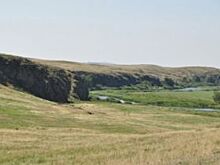 Житель Новоорского района признался в убийстве, совершенном 11 лет назад