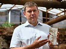 Дойти до «материка»: как ведут археологические раскопки рядом с булочной Филиппова