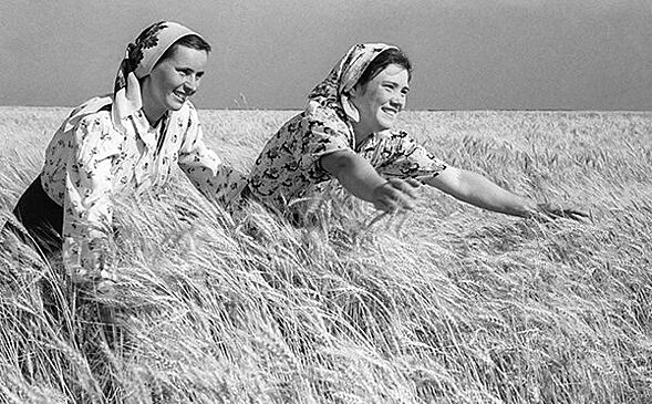 У кого СССР закупал зерно