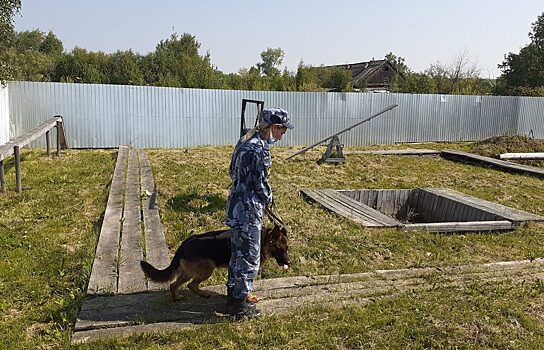 Свердловский кинолог исправительной колонии спасла тонувшего ребёнка