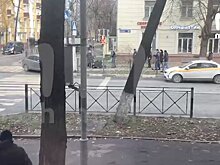 Судебный пристав со стрельбой задержал напавшего на женщину в Люберцах