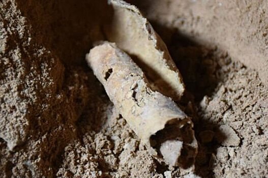 Коллекция свитков Мертвого моря оказалась подделкой