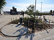 Спортивная набережная Владивостока открыта после благоустройства: что изменилось