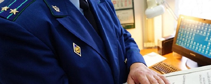 Прокуратура в Великом Новгороде заинтересовалась подростком-живодером, который душил собаку шнурком