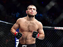 Хабиб Нурмагомедов начал подготовку к защите титула чемпиона UFC