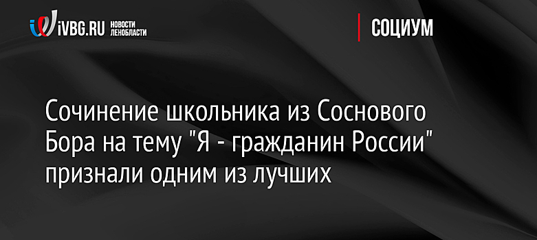Сочинение школьника из Соснового Бора на тему "Я - гражданин России" признали одним из лучших