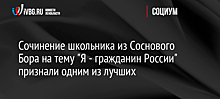Сочинение школьника из Соснового Бора на тему "Я - гражданин России" признали одним из лучших
