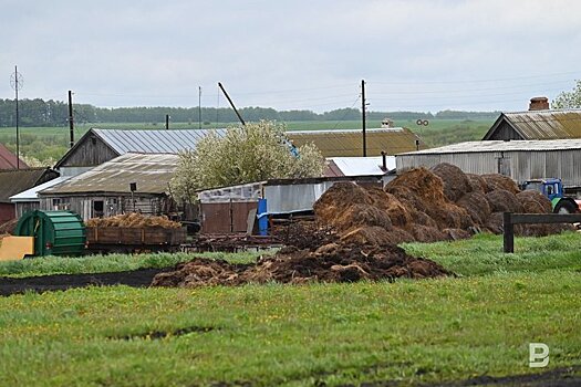 Цены на грунт: рост цен за куб в 2024 году и его причины