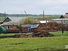 Цены на грунт: рост цен за куб в 2024 году и его причины