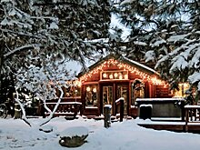 Эксперты рассказали, когда можно построить жилой дом в лесу