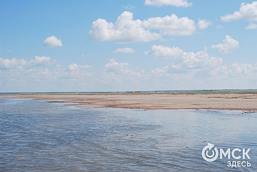 Разговариваем на языке животных и изучаем эзотерику: как на омских озёрах работают эковолонтёры