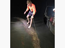 Мужчина прокатился на огромном крокодиле и разозлил зоозащитников