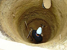 Собака и две кошки провалились в колодец и были спасены спустя 10 месяцев