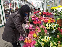 Цены распустились: за год цветы на Дону подорожали на 25&ndash;30%