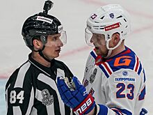 Экс-форвард СКА, «Салавата Юлаева» и «Сибири» Кемппайнен завершил карьеру в 36 лет