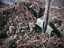 В Подмосковье у мужчины дома нашли тайную могилу убитой им падчерицы