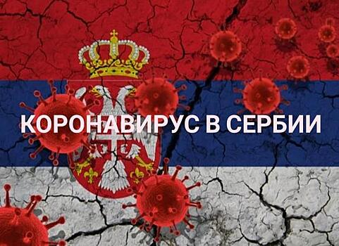Число жертв коронавируса в Сербии достигло 242 человек
