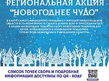 Нижегородские волонтеры культуры приглашают присоединиться к акции «Новогоднее чудо»