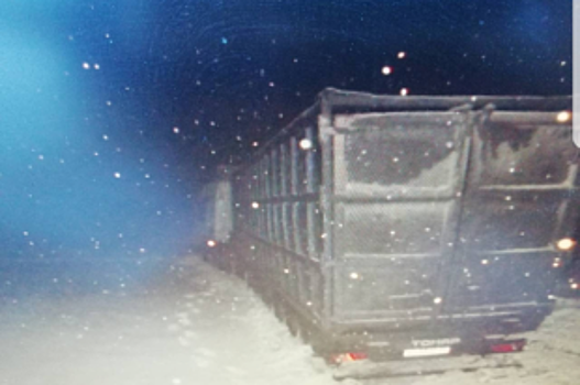 Во время снегопада водитель Renault погиб в ДТП с фурой под Воронежем
