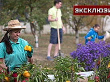 Юрист Шугаев: в случае захламления участка дачникам может грозить штраф
