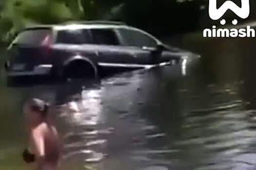В Нижегородской области внедорожник без водителя едва не сбил купающихся в реке