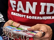 Госдума приняла закон о FAN ID для болельщиков