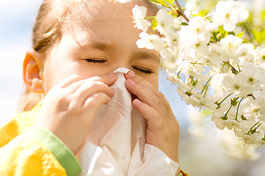 Пик весеннего сезона аллергии в России придётся на майские праздники