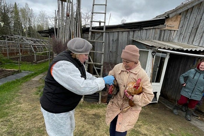 В Кировскую область поступило 120 тысяч доз вакцины от гриппа птиц