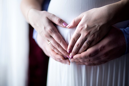 ЛДПР подготовила проект об оплачиваемом отпуске в первом триместре для беременных