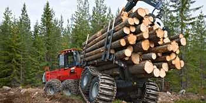 Рослесинфорг опубликовал рейтинг самых крупных компаний лесопромышленного комплекса России