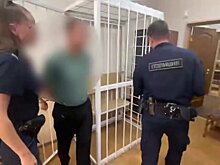 Бывший министр лесного хозяйства Приморья Карпенко арестован по делу о взятках
