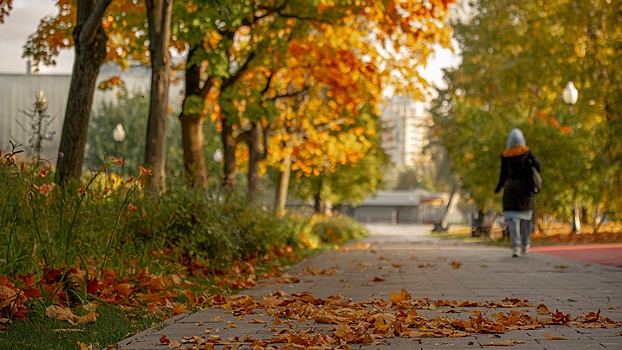 Москвичам пообещали тепло и дожди до конца недели