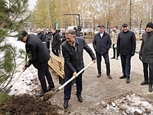 В новосибирском "Бугаков-парке" депутаты Заксобрания высадили кедры