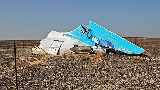 Володин напомнил о необходимости расследования авиакатастрофы над Синаем