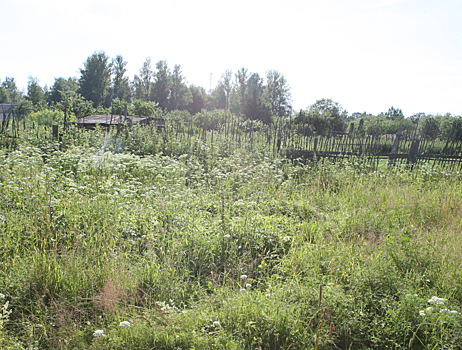 Эксперты рассказали, где продаются самые доступные в Ленобласти участки