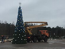 В Ленинградской области начинают демонтировать новогодние ёлки