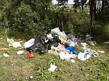 Семейная пара из Тюмени своими силами наводит порядок на берегу озера Андреевское