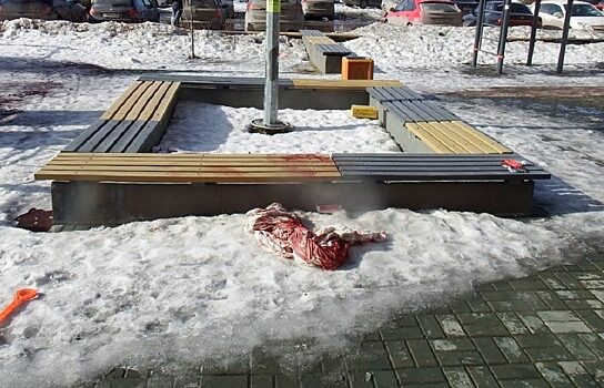 Уральца, порезавшего женщину в Екатеринбурге, обвинили в попытке убийства
