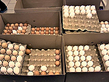 На Ямале за неделю подорожали куриные яйца, говядина и мука