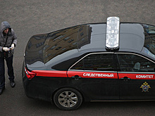 Суд заключил под стражу подозреваемых в убийстве двоих детей в Воронежской области