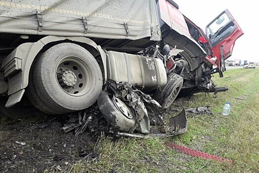 Треть ДТП с пострадавшими с начала года в Москве произошли с грузовиками на МКАД