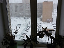 «40 см за ночь»: в Сети публикуют снимки внезапно обрушившегося снегопада