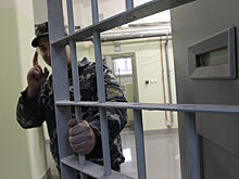 Сколько преступников вышло на свободу в Казахстане по амнистии
