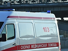 Прохожие спасли провалившуюся в колодец в Москве женщину