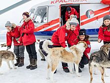 Умка, топленый снег и экологическая станция: как прошла Большая арктическая экспедиция — 2024